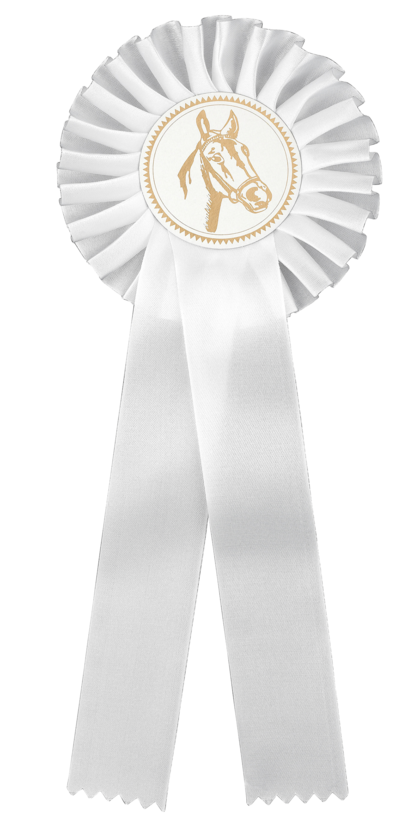 "Classic White" – Satīna rozete jāšanas sacensībām